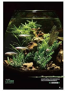 メダカの教科書 (サクラムック) |本 | 通販 | Amazon